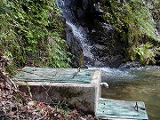 福井の温泉
