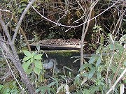 福井の温泉