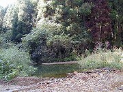 福井の温泉