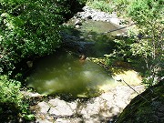 岐阜の温泉