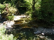 岐阜の温泉