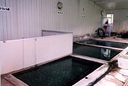 北海道の温泉