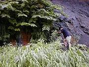 北海道の温泉