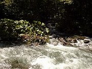 北海道の温泉
