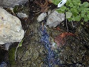 北海道の温泉