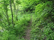新潟の温泉