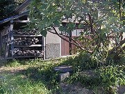 新潟の温泉