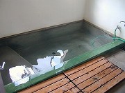 新潟の温泉