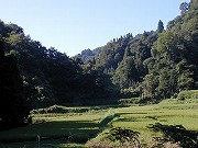 新潟の温泉