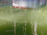 新潟の温泉
