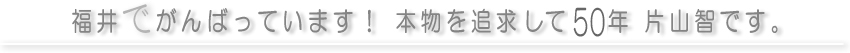 福井でがんばっています！