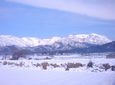 大日山遠景(冬)