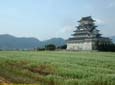 勝山城とそばの花