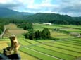 勝山城からの展望