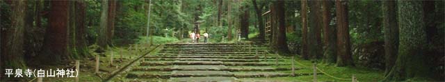 平泉寺(白山神社)