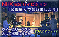 NHK Bs Hi-Vision TV