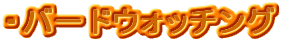 ・バードウォッチング