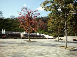 秋の西山公園