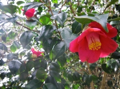 IMGP4643.JPG