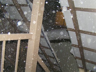 吹雪いてます