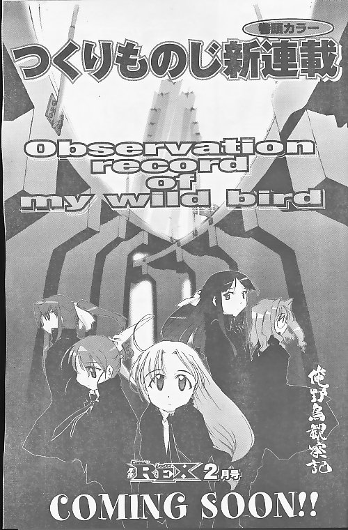 俺野鳥観察記　（＞▽＜)ノ ＹＥＳ !!