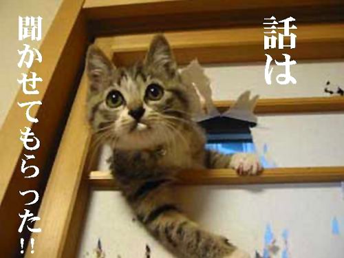 話は聞かせてもらった!!
