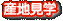 産地見学
