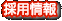 採用情報