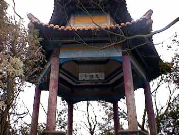 yuantouzhu051.jpg