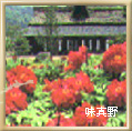 味真野
