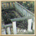 千代鶴の池