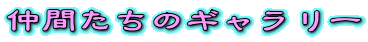 仲間たちのギャラリー
