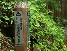 白山禅定道との分岐