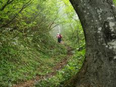 山道
