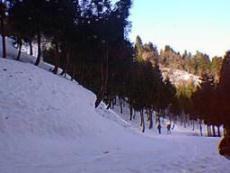 東山