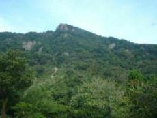 冠岳