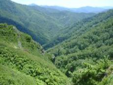 岐阜県側