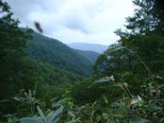 小原峠
