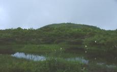 湿原